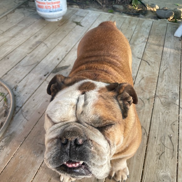 Meet your Posher, Helen - Picture 8 of 9